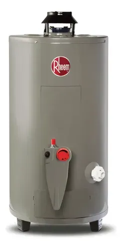 Rheem Todo Terreno calentador de depósito de 48 L
